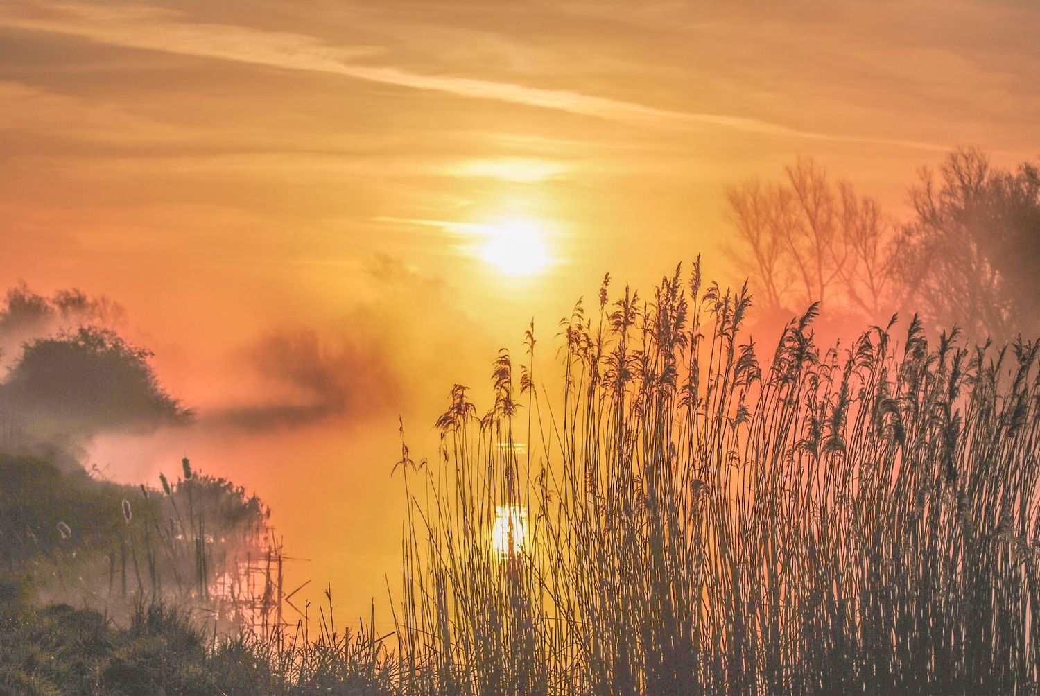 Ely Spring Golden Sunrise