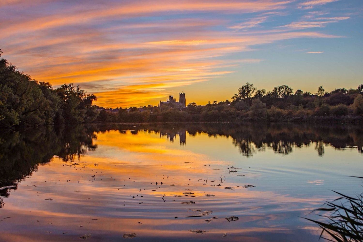 Ely Country Park At Sunset