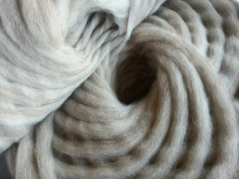 Roving from our Rose Grey female Besito&#39;s