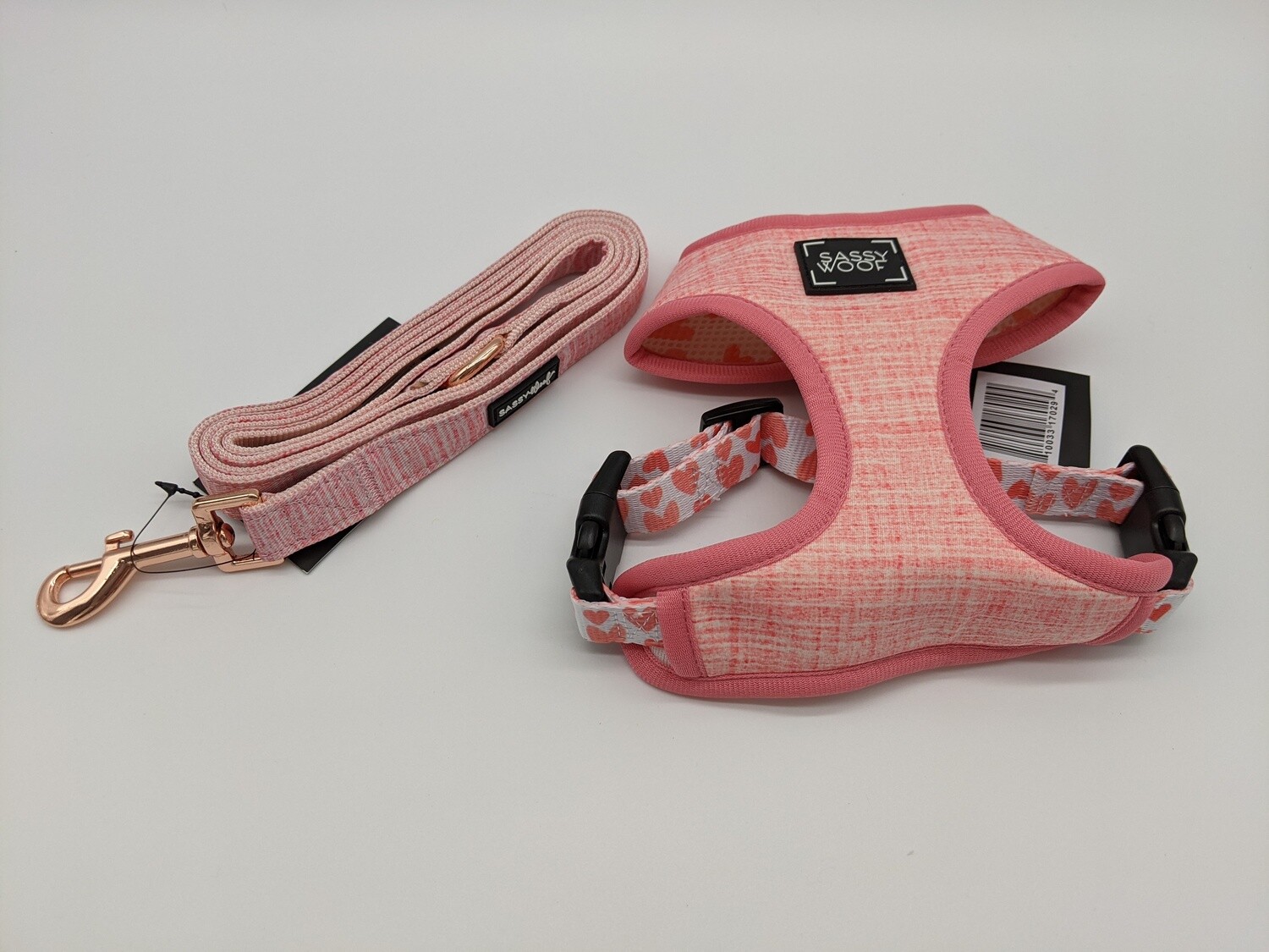 Dolce Rose Harness and Leash combo