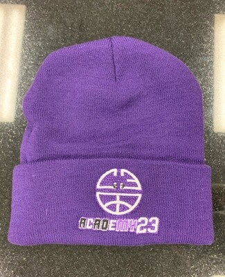 Purple CE23 Hat