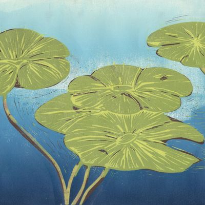 Waterlilies IV card