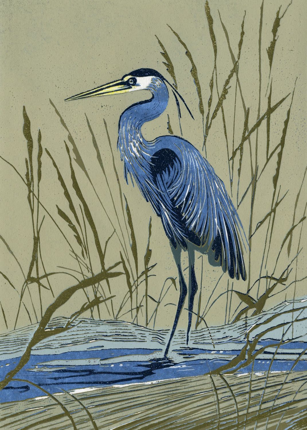 Heron II print