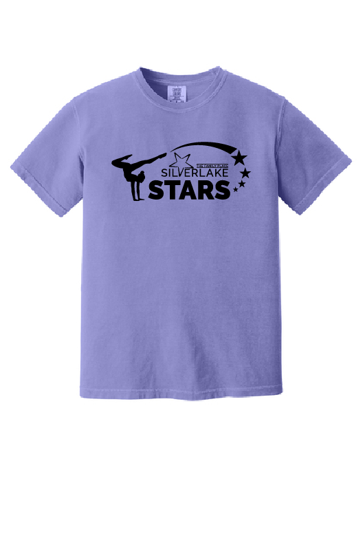 UNISEX COMFORT COLORS PURPLE T-SHIRT