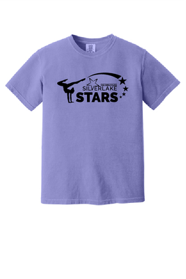 UNISEX COMFORT COLORS T-SHIRT