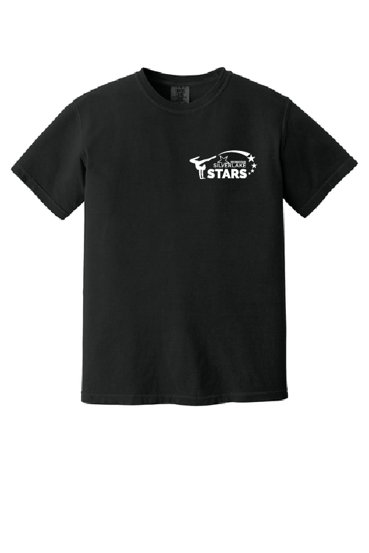 UNISEX COMFORT COLORS BLACK T-SHIRT