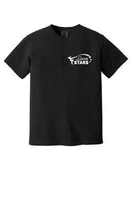 UNISEX COMFORT COLORS T-SHIRT