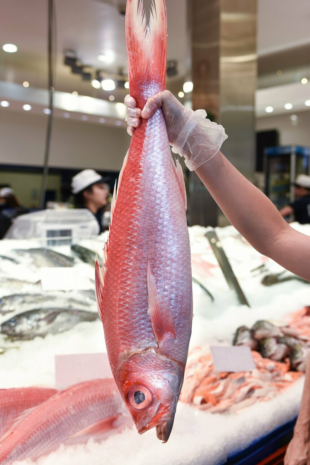 Huachinango Entero Grande (Limpio/precio por kg.)