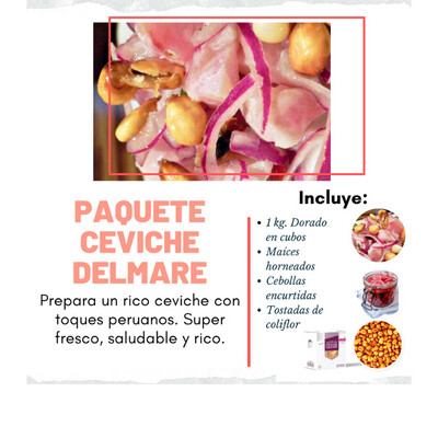 Paquete Ceviche Delmare