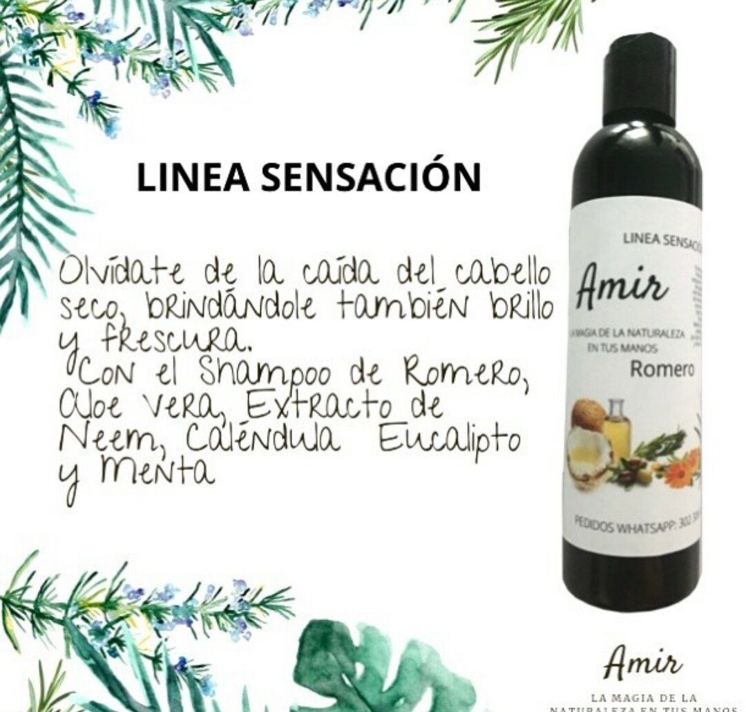 Shampoo Natural