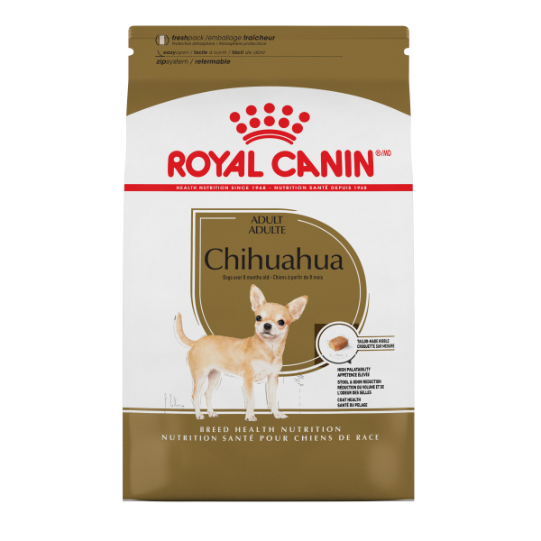 Rc Chihuahua ADULT