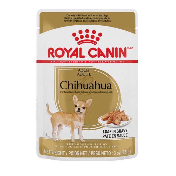 RC Chihuahua Pouch