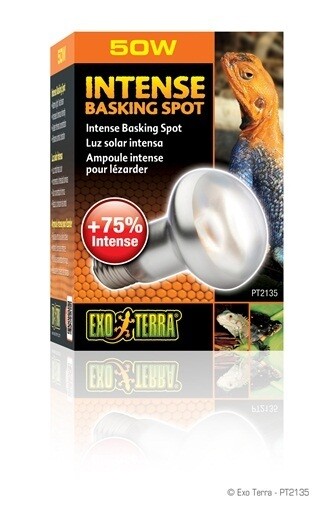 Exo Terra Intense Basking Bulb