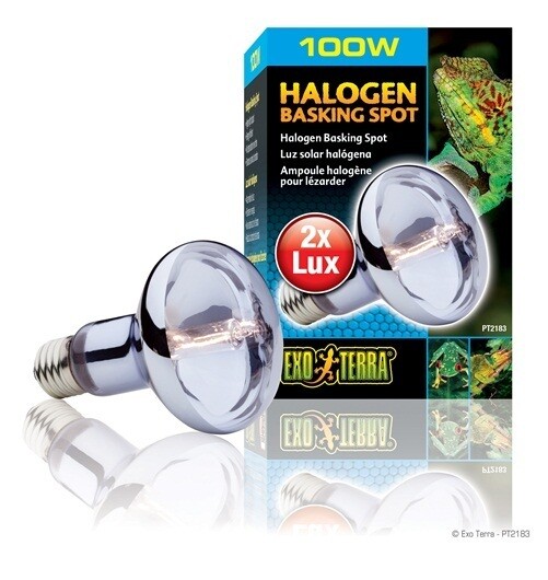 Ext Sunglo Daylite Halogen L.110V 100W