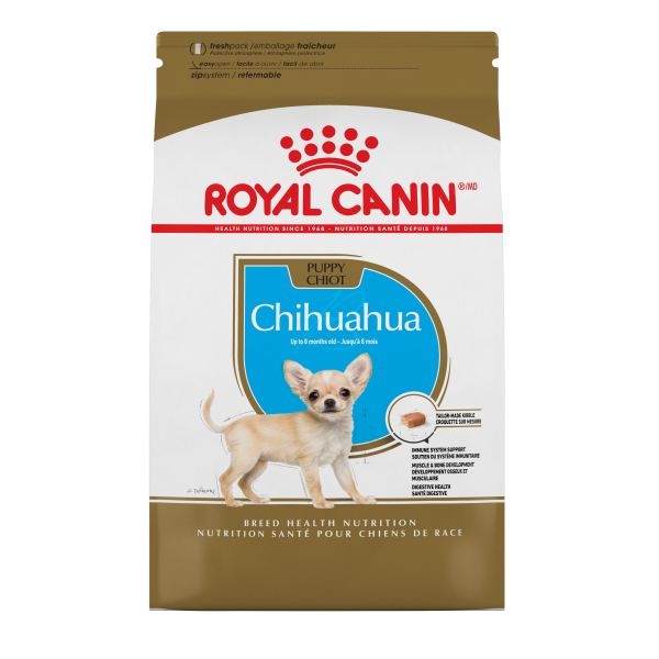 Rc Chihuahua Puppy