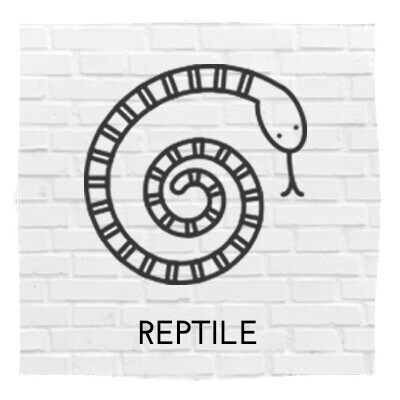 Reptile