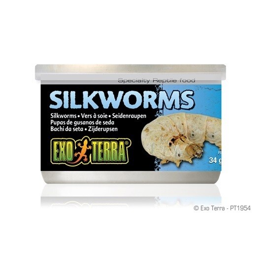 Exo Terra Silk Worms