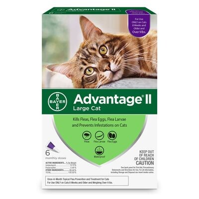 Advantage 18 For Cats Purple