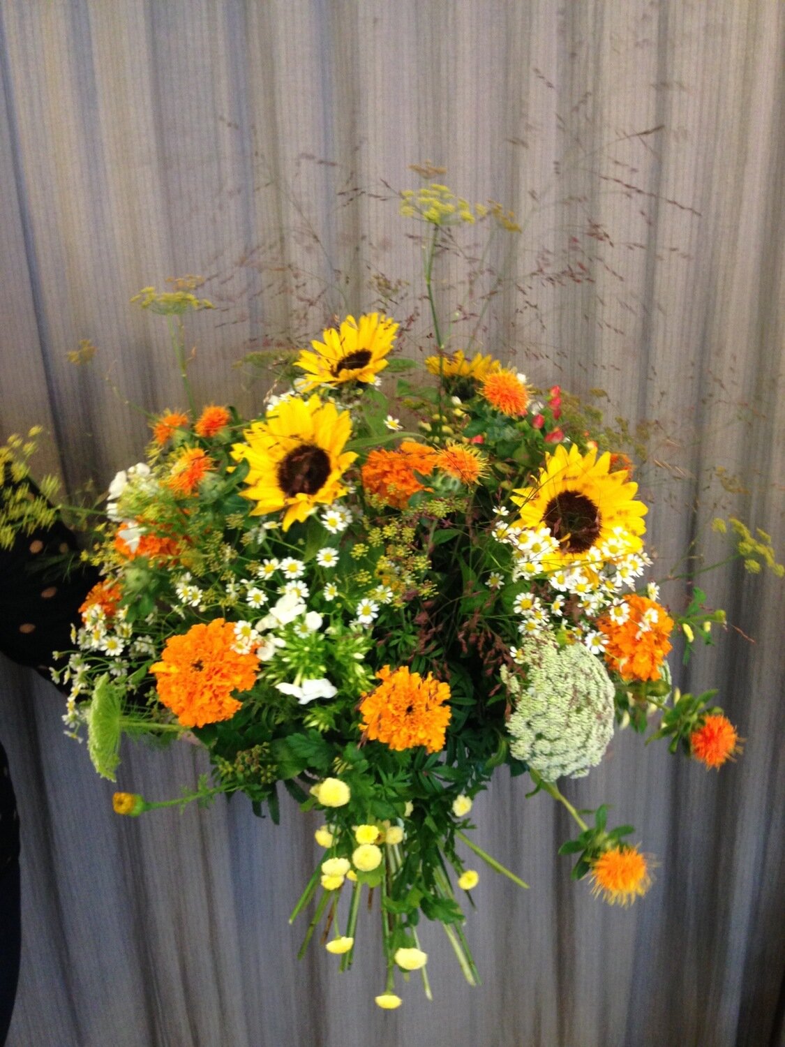 Frisch gepflückt