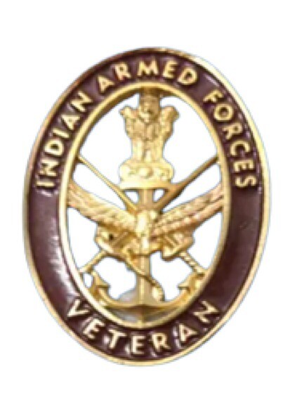 Veteran Lapel Pin