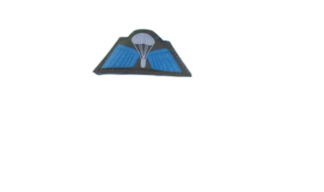 paratrooper Badge