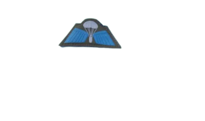 paratrooper Badge