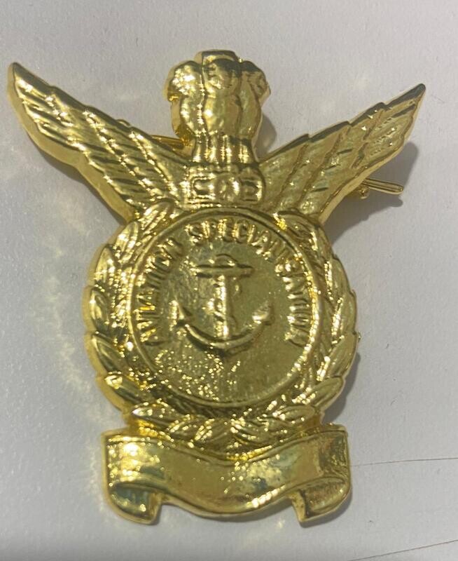Naval aviation badge  golden finish