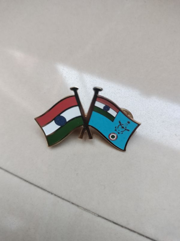 Beautiful brass Lapel Pin pair  Airforce #IAF