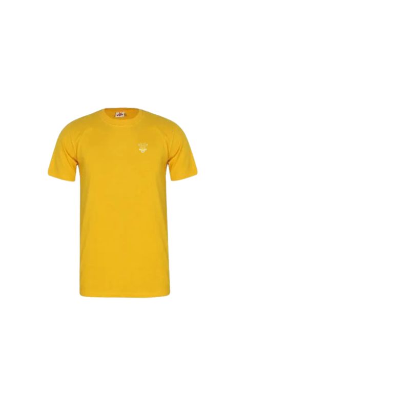 T SHIRT NDA Round Neck (Golden Orange)