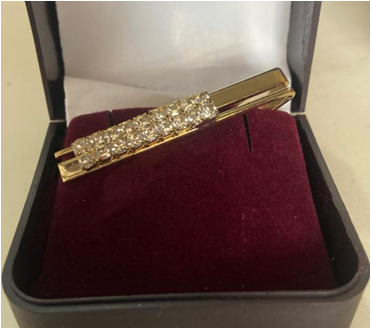Gold finished with stone tie pin