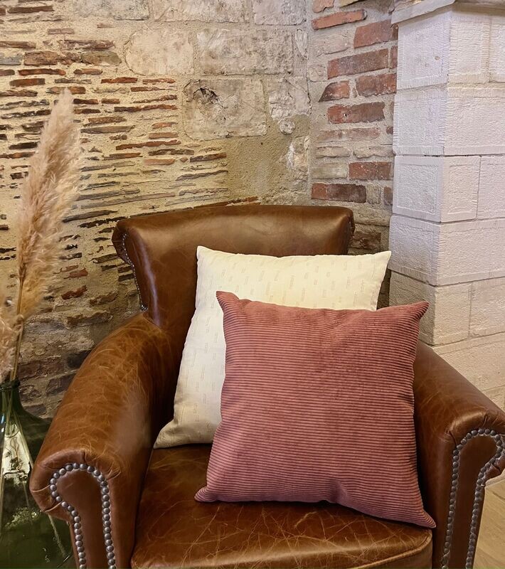 Coussin Velours Rose