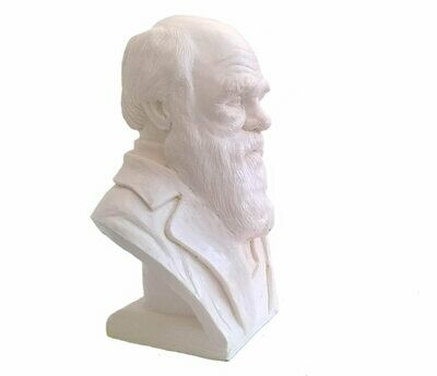 Bust of Charles Darwin, a wonderful gift to inspire your child