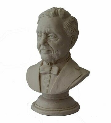Bust of Sir David Attenborough, a wonderful gift to inspire your child