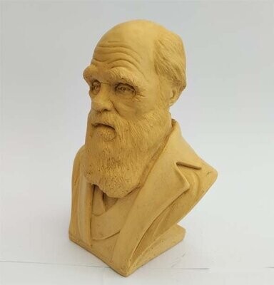 Bust of Charles Darwin, a wonderful gift to inspire your child