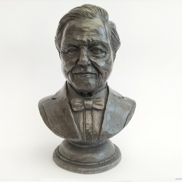Bust of Sir David Attenborough, a wonderful gift to inspire your child