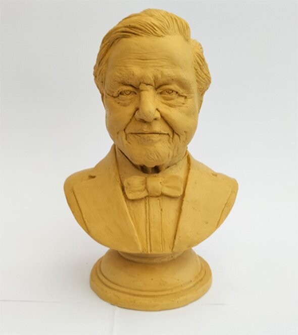 Bust of Sir David Attenborough, a wonderful gift to inspire your child