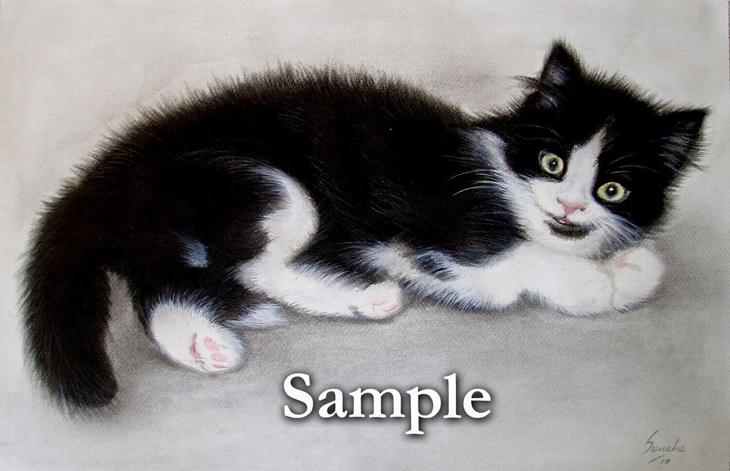 Pet portrait drawing from a photo(single Head)