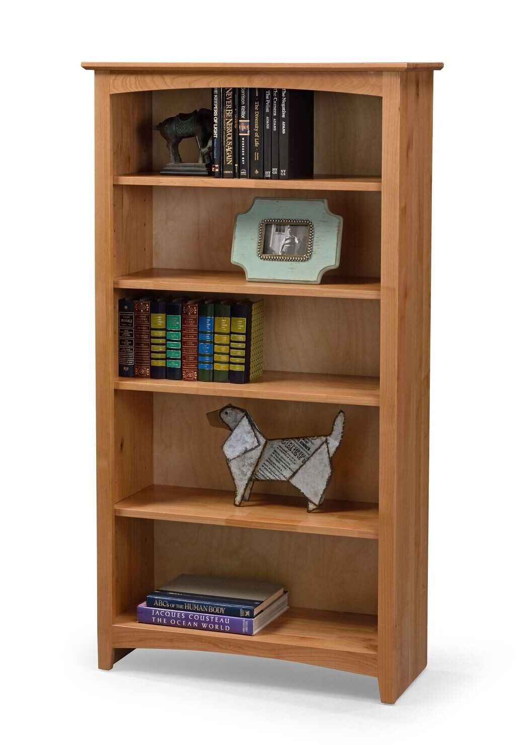 Archbold 36×60 Bookcase