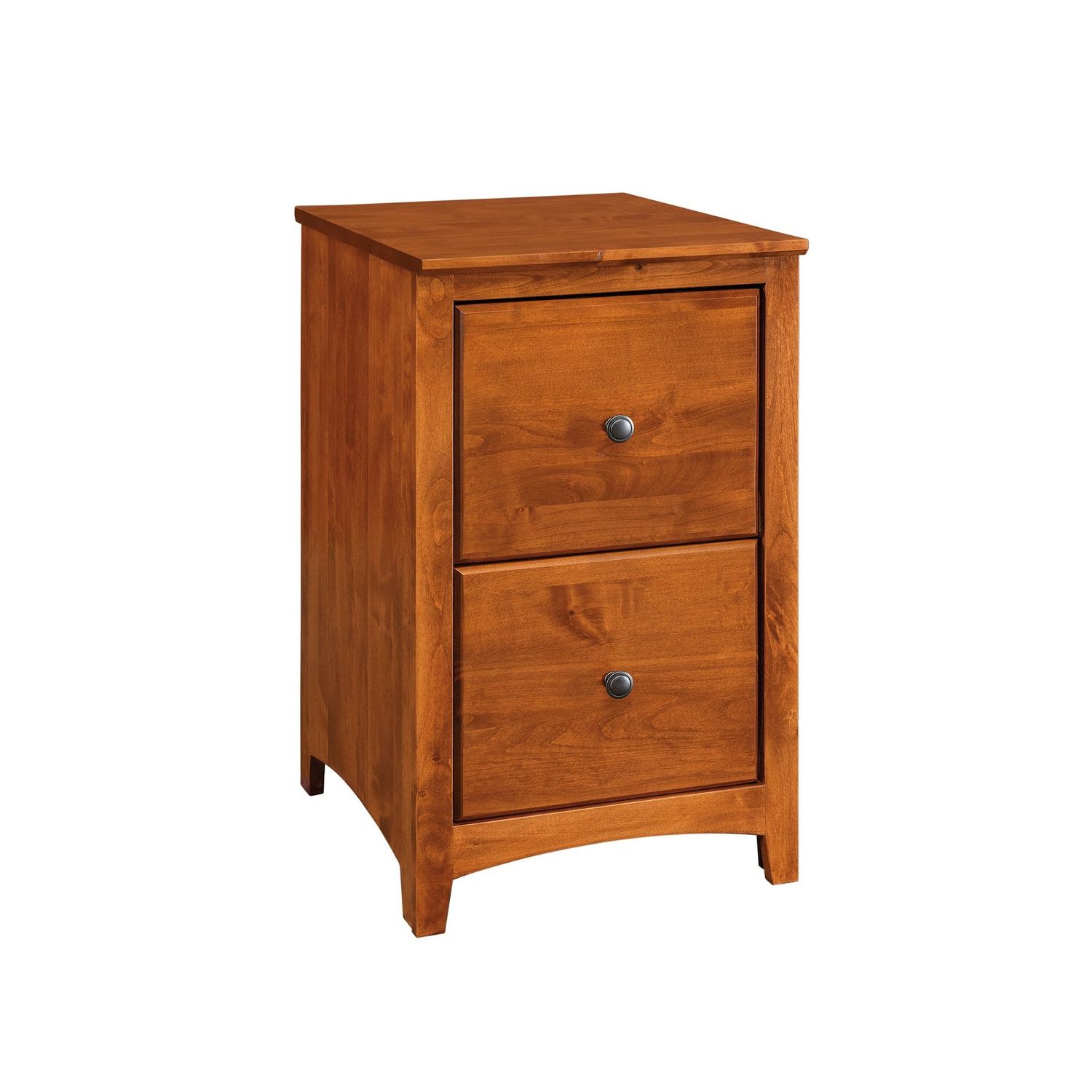 Archbold 2 Drawer File