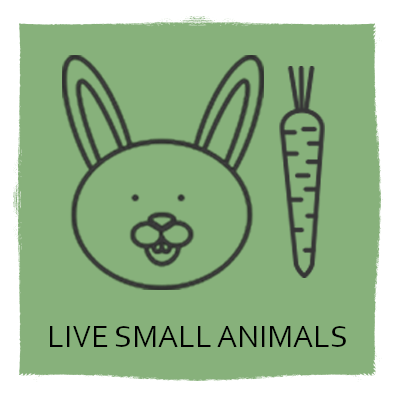 Live Small Animals