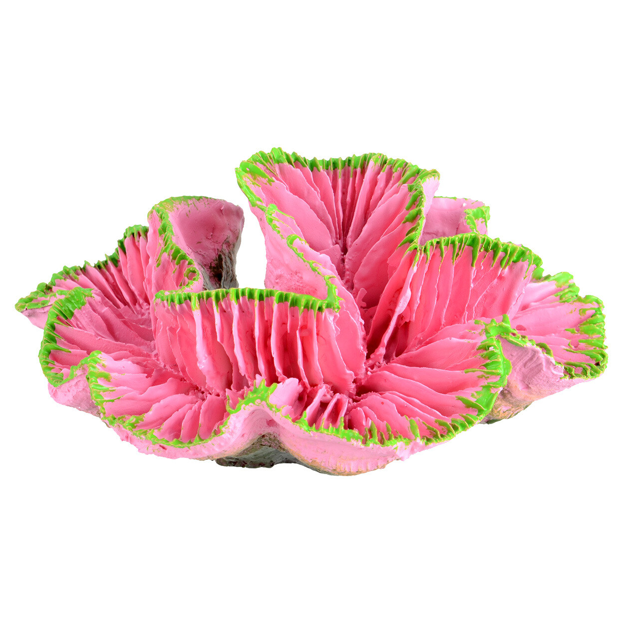 Underwater Treasures Open Brain Coral Pink Small