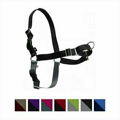 petsafe easy walk medium