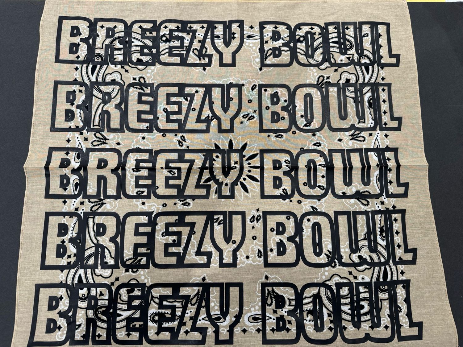 Breezy Bowl Bandanna