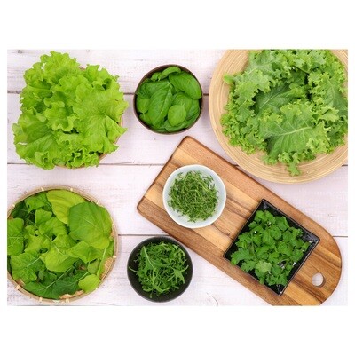 GreenBugs 10 Varieties Salad Mix