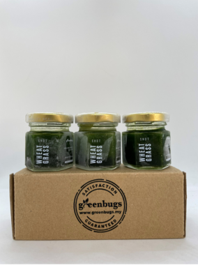 Frozen Concentrated Wheatgrass Shots