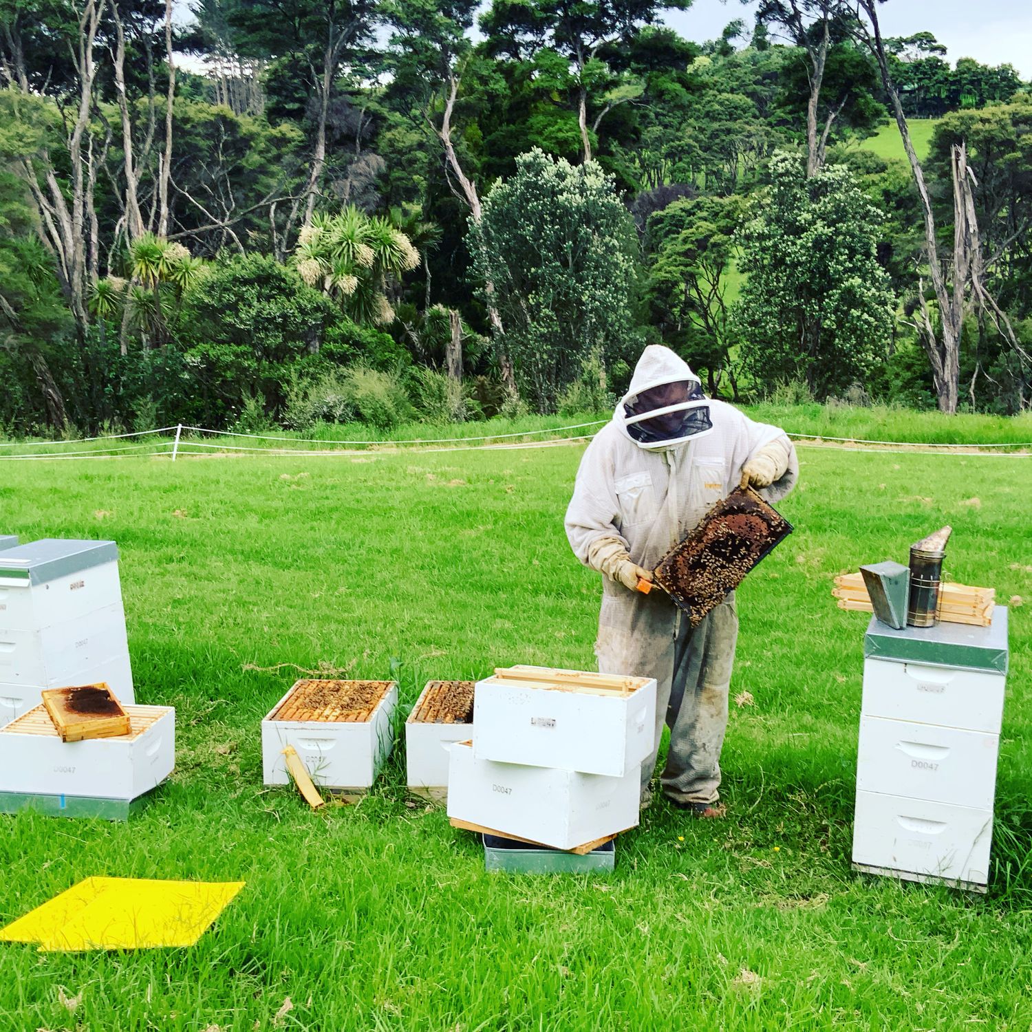 Dec.2025 Te Henga PET Jar 250g