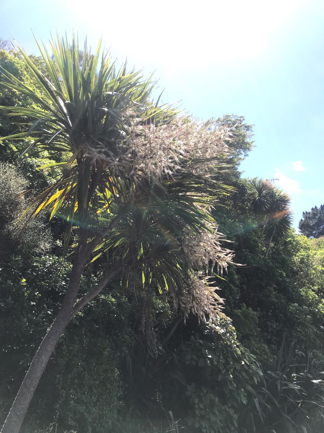 Dec.2025 Te Henga Glass Jar 250g