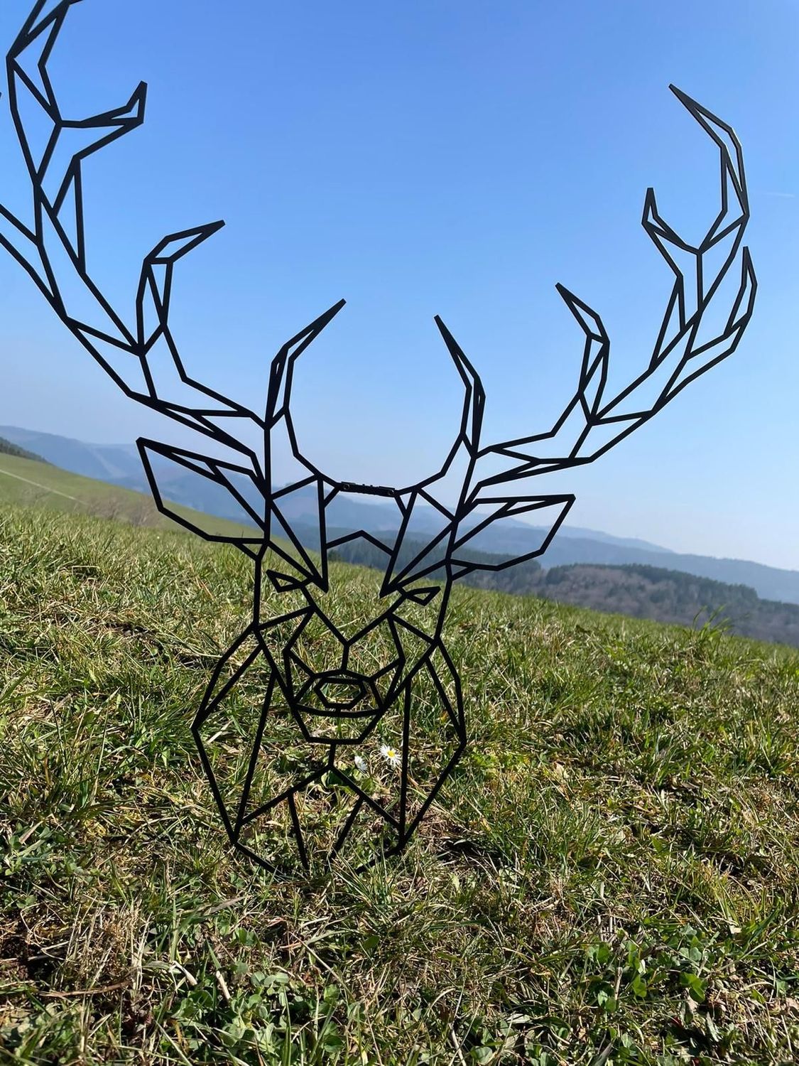 Hirsch