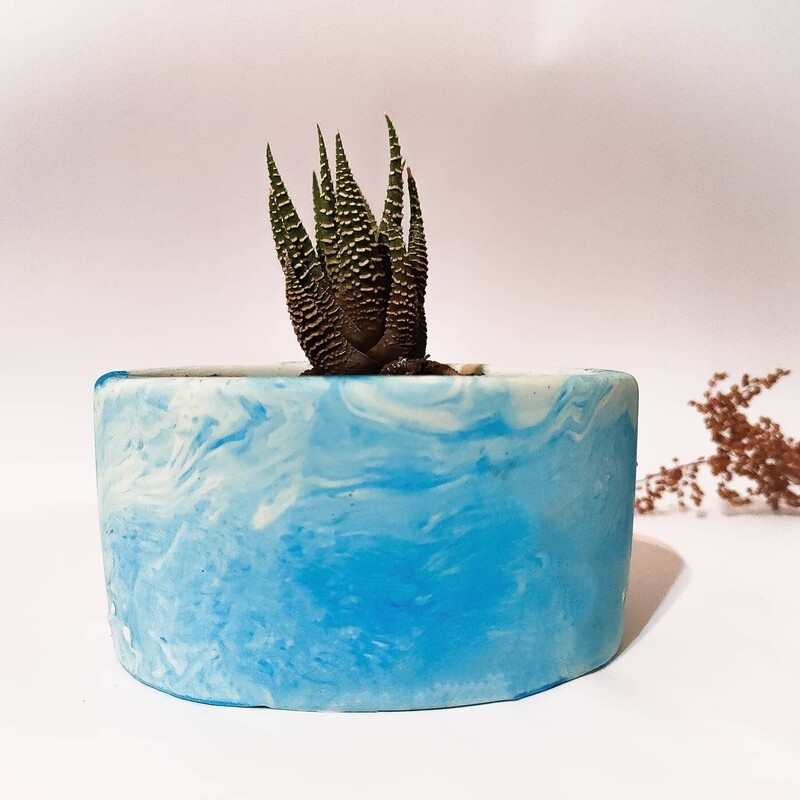Plant Pot