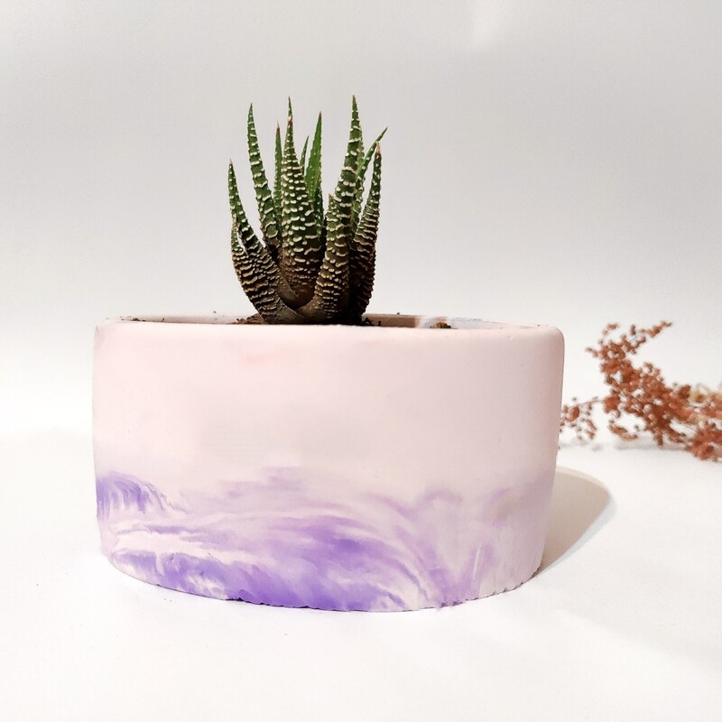 Plant Pot